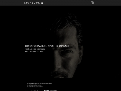 lionsoul.info snapshot