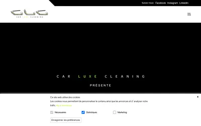 carluxecleaning.com snapshot