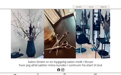 salonstrom.dk snapshot