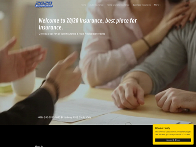 2020ins.com snapshot