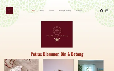 petras-blommor-bin-och-betong.se snapshot