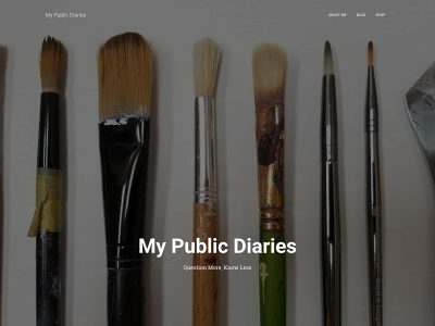 mypublicdiaries.com snapshot