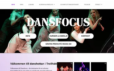 dansfocus.se snapshot