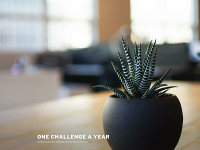 onechallengeayear.com snapshot