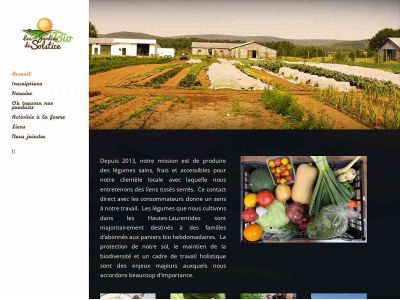 lesjardinsbiodusolstice.com snapshot