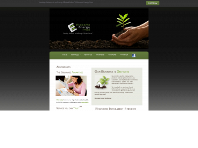 alabamaenergypros.com snapshot