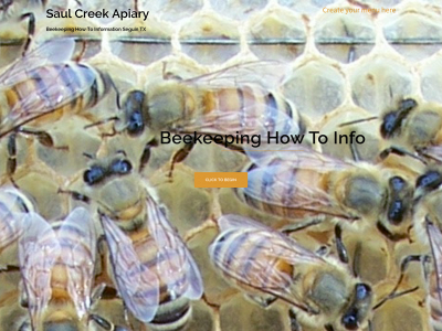 saulcreekapiary.com snapshot