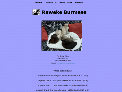 rawekeburmese.co.uk snapshot