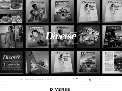revistadiverse.com snapshot