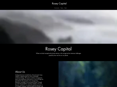 rosey-capital.com snapshot