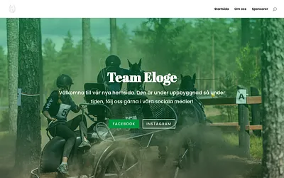 teameloge.se snapshot