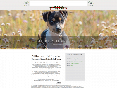 terrierbrasileiroklubben.se snapshot