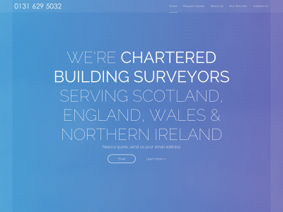 synergysurveying.com snapshot