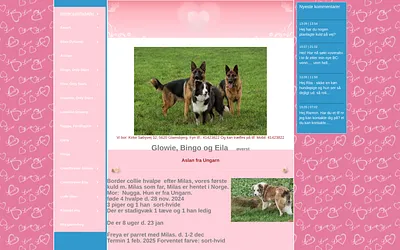 border-collie.dk snapshot
