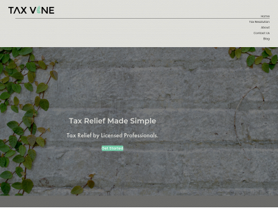 taxvine.co snapshot