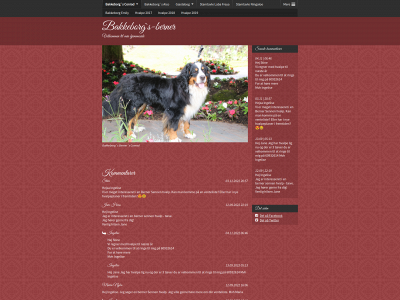 bakkeborgs-berner.dk snapshot