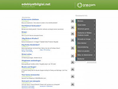 edebiyatbilgisi.net snapshot
