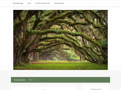 raisingsoutherngrace.com snapshot
