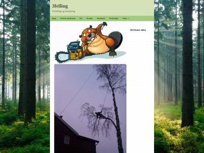 3felling.no snapshot