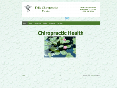 felixchiropracticcenter.com snapshot