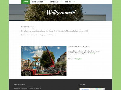 mein-blumenparadies.de snapshot