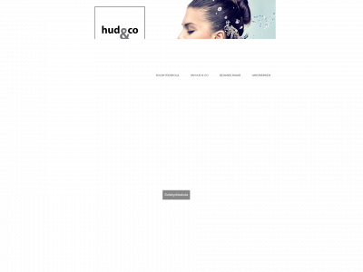 hudoco.se snapshot