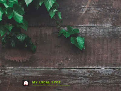 mylocalspot.com snapshot