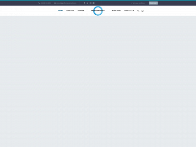 performancelimofl.com snapshot