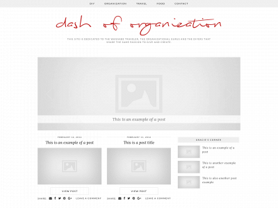 dashoforganization.com snapshot