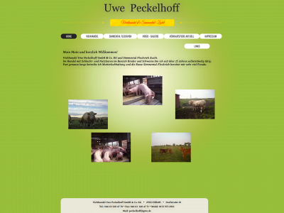 peckelhoff.com snapshot