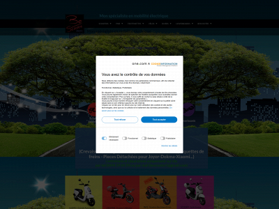 bescooter.com snapshot