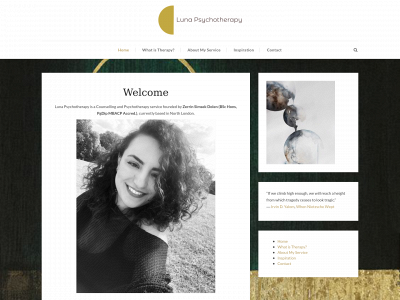 lunapsychotherapy.com snapshot