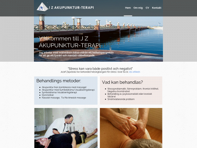 akupunktur-terapi.se snapshot