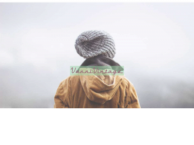 vannivintage.com snapshot