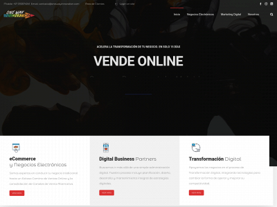 onewayinnovation.com snapshot