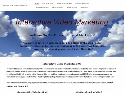 www.interactivevideomarketing.net snapshot