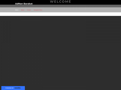 adnanbarakat.weebly.com snapshot