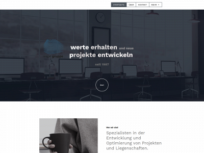 wepecapital.de snapshot