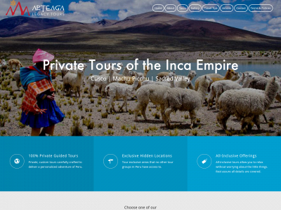 arteagalegacytours.com snapshot