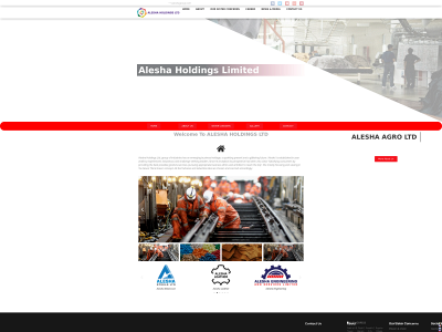 aleshagroup.com snapshot