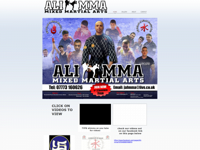 alimma.co.uk snapshot
