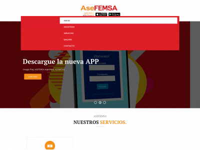 asefemsa.com snapshot