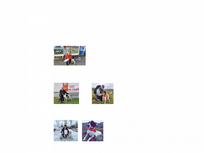orntua.no snapshot