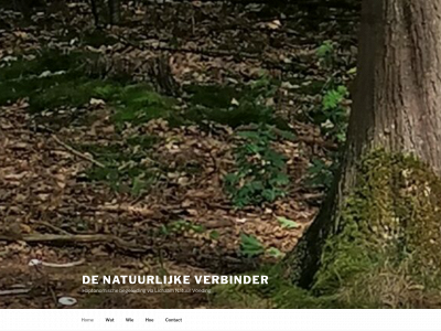 lauratwigt.nl snapshot