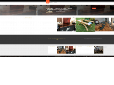 theresinguy.com snapshot