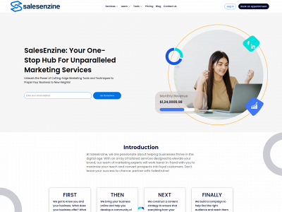 salesenzine.com snapshot