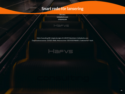 hafvs.com snapshot