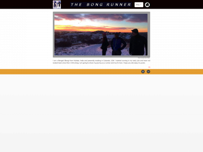 bongrunner.com snapshot