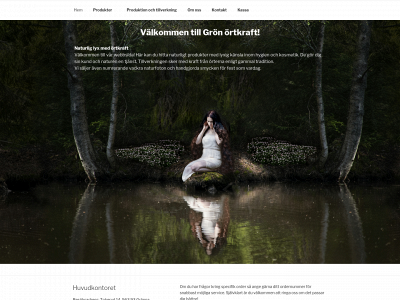 medensdesign.se snapshot