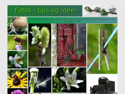 smunken.dk snapshot